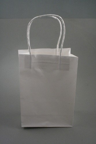 White Paper Gift Bag with Rigid White Twisted Paper Handles. Approx Size 21cm x 15cm x 8cm