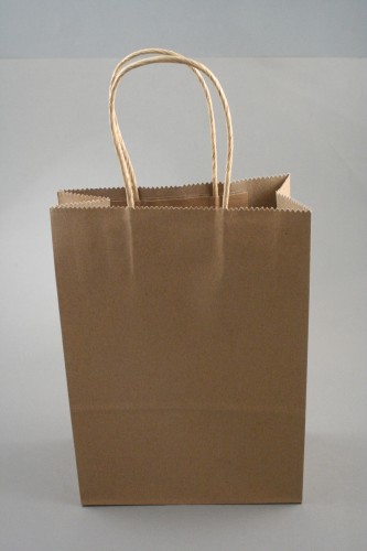 Natural Brown Kraft Paper Gift Bag with Brown Twisted Paper Handles. Approx Size 22cm x 16cm x 8cm
