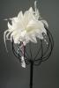 Ivory Coloured Fabric Flower Fascinator on a Forked Clip and Brooch Pin.  - view 1