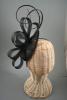 Black Sinamay Pointed Cap Fascinator with Black Loops and Ostrich Quills. - view 2