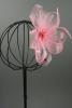Looped Rose Pink Net Centre Rosette and Feather Fascinator on a Clip and Brooch Pin. - view 3