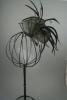 Black Looped Fabric and Feather Fascinator on a Clear Comb - view 3